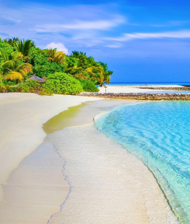 Mój pierwszy obóz! Adapt Camp piłkarski | Sędzinko | 02.08 - 05.08.2026